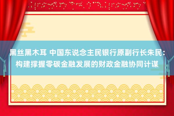 黑丝黑木耳 中国东说念主民银行原副行长朱民：构建撑握零碳金融发展的财政金融协同计谋