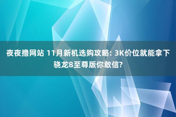 夜夜撸网站 11月新机选购攻略: 3K价位就能拿下骁龙8至尊版你敢信?