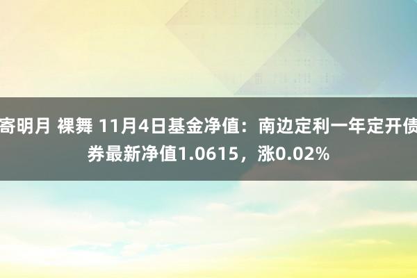 寄明月 裸舞 11月4日基金净值：南边定利一年定开债券最新净值1.0615，涨0.02%