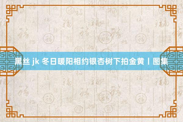 黑丝 jk 冬日暖阳相约银杏树下拍金黄丨图集
