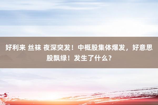 好利来 丝袜 夜深突发！中概股集体爆发，好意思股飘绿！发生了什么？