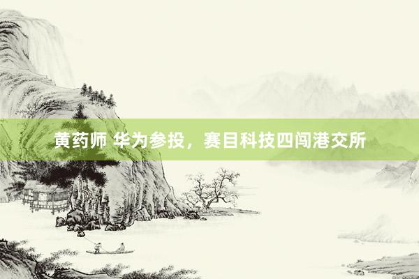 黄药师 华为参投，赛目科技四闯港交所