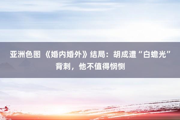 亚洲色图 《婚内婚外》结局：胡成遭“白蟾光”背刺，他不值得悯恻