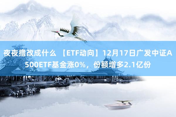 夜夜撸改成什么 【ETF动向】12月17日广发中证A500ETF基金涨0%，份额增多2.1亿份