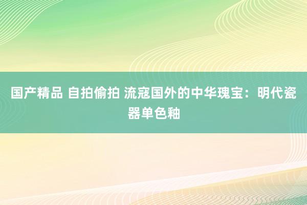 国产精品 自拍偷拍 流寇国外的中华瑰宝：明代瓷器单色釉