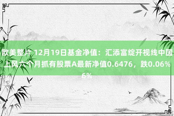欧美整片 12月19日基金净值：汇添富绽开视线中国上风六个月抓有股票A最新净值0.6476，跌0.06%