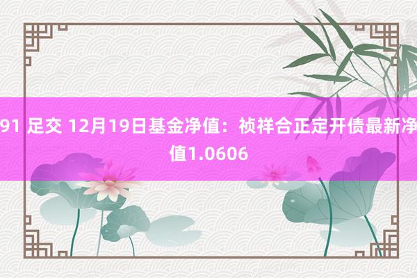 91 足交 12月19日基金净值：祯祥合正定开债最新净值1.0606