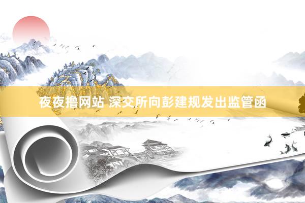 夜夜撸网站 深交所向彭建规发出监管函