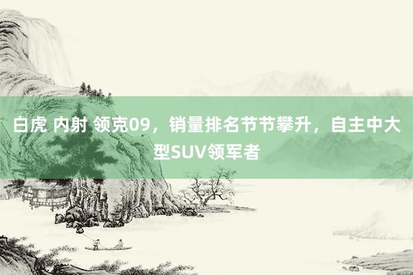 白虎 内射 领克09，销量排名节节攀升，自主中大型SUV领军者