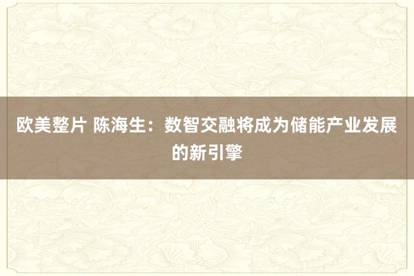 欧美整片 陈海生：数智交融将成为储能产业发展的新引擎