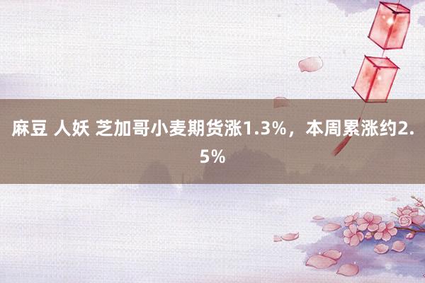 麻豆 人妖 芝加哥小麦期货涨1.3%，本周累涨约2.5%