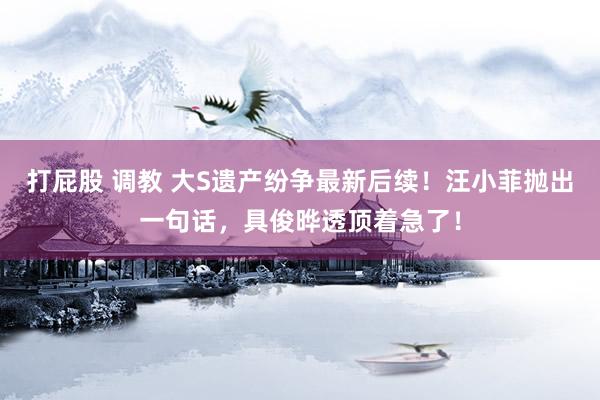 打屁股 调教 大S遗产纷争最新后续！汪小菲抛出一句话，具俊晔透顶着急了！