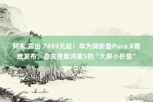 阿朱 露出 7499元起！华为阔折叠Pura X雅致发布，首发搭载鸿蒙5的“大屏小折叠”