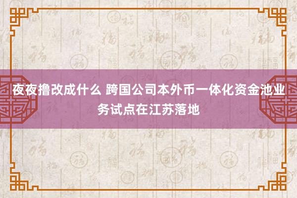 夜夜撸改成什么 跨国公司本外币一体化资金池业务试点在江苏落地