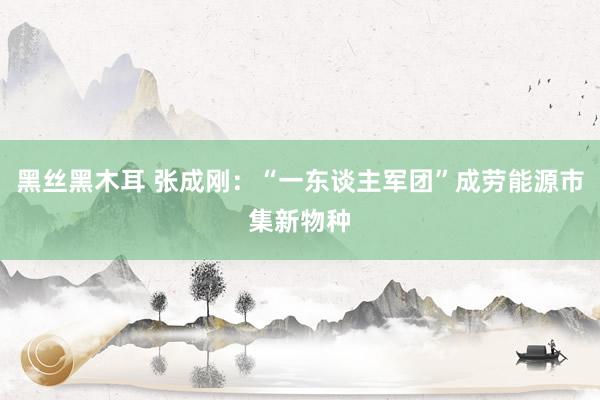 黑丝黑木耳 张成刚：“一东谈主军团”成劳能源市集新物种